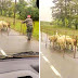 18 Pictures Of Fearless Men Who Can Handle The Most Complex Situations