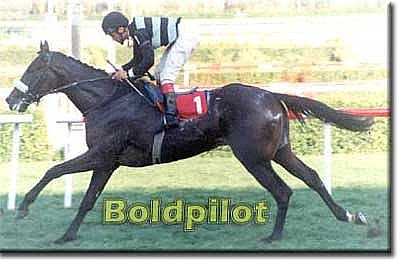 bold pilot bold pilot