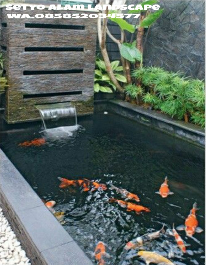 TUKANG KOLAM KOI MINIMALIS SIDOARJO | JASA PEMBUATAN KOLAM ...