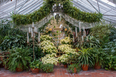 greenhouse in St. Charles, Missouri photo by mbgphoto