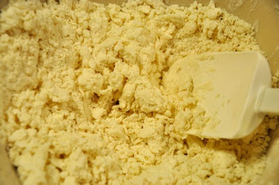 beer biscuits powder mixture in a bowl