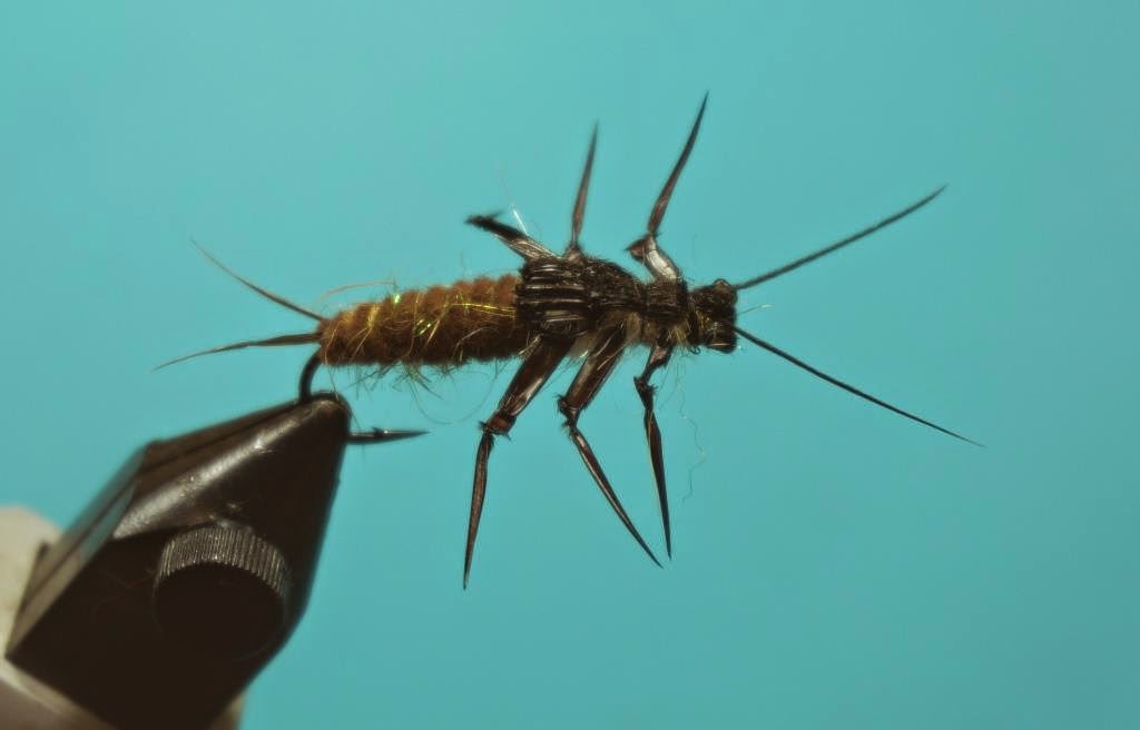 Fly Tying Nation: Buggy Stonefly Nymph