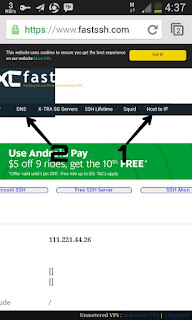Pointing domain fastssh Pointing domain bagian satu