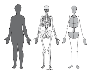 A silhouette, skeleton, and simplified skeleton of a person.