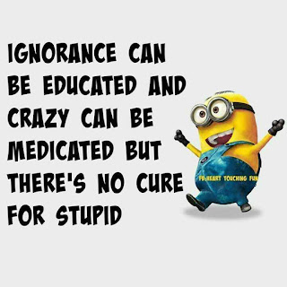 funny minion quotes images and pics about love and life 12 funny minion quotes images and pics about love and life 12