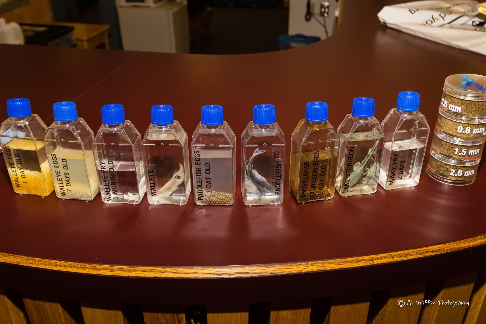 Our Eyes Upon Missouri Lost Valley Fish Hatchery, Warsaw, Missouri