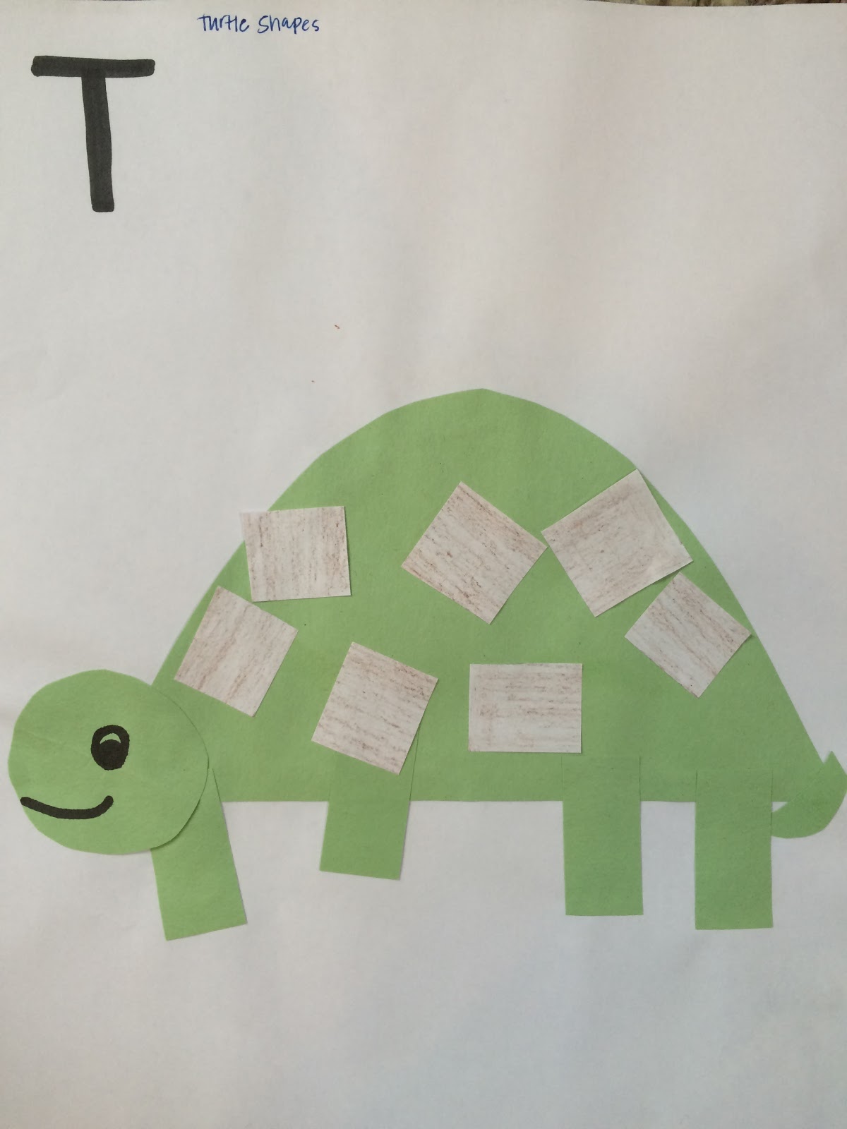 Letter T - Turtles: Shape Craft, Paper Plate Turtles, Sizing, Numbers