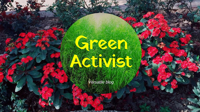 Meaning of green activist