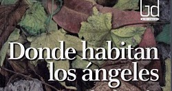 Rese a Donde habitan los ngeles - Donde Habitan Los Angeles Claudia Celis 