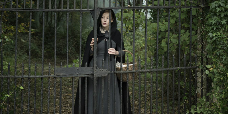 the lodgers