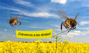 Nuestras abejas en peligro