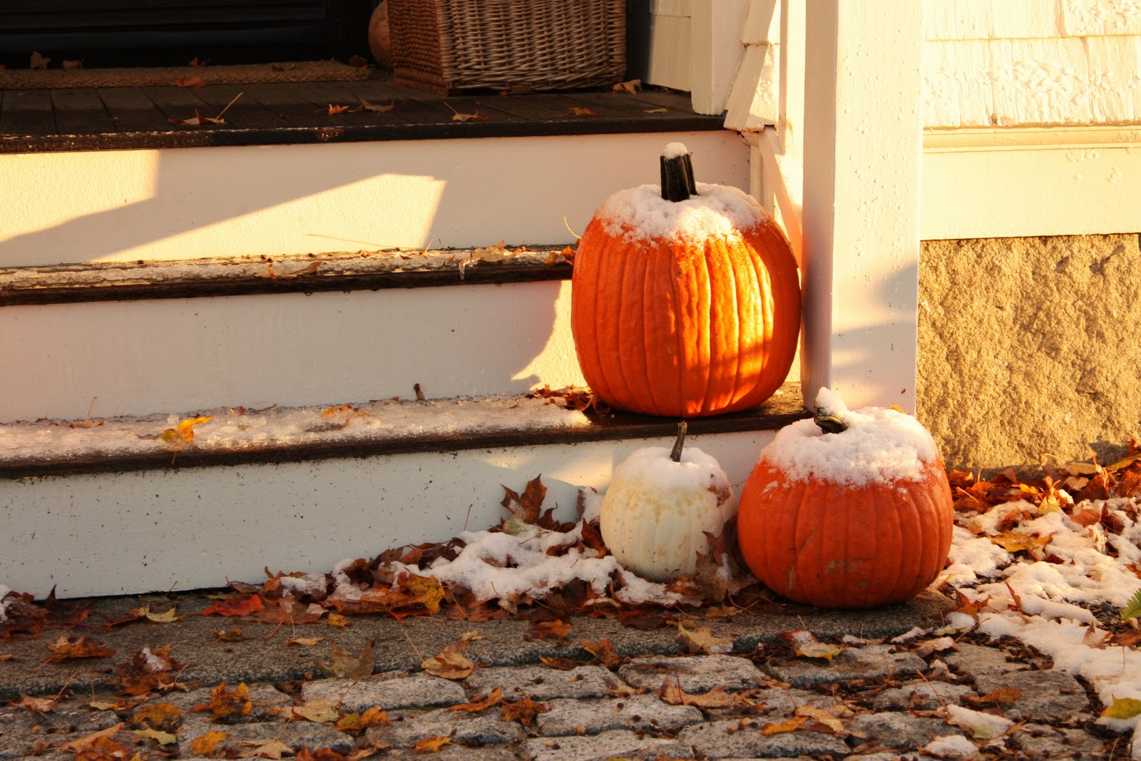 for the love of a house frost on the pumpkins...