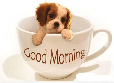 good morning wallpaper for whatsapp good morning wallpaper for whatsapp