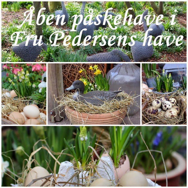 Fru pedersens have: marts 2015