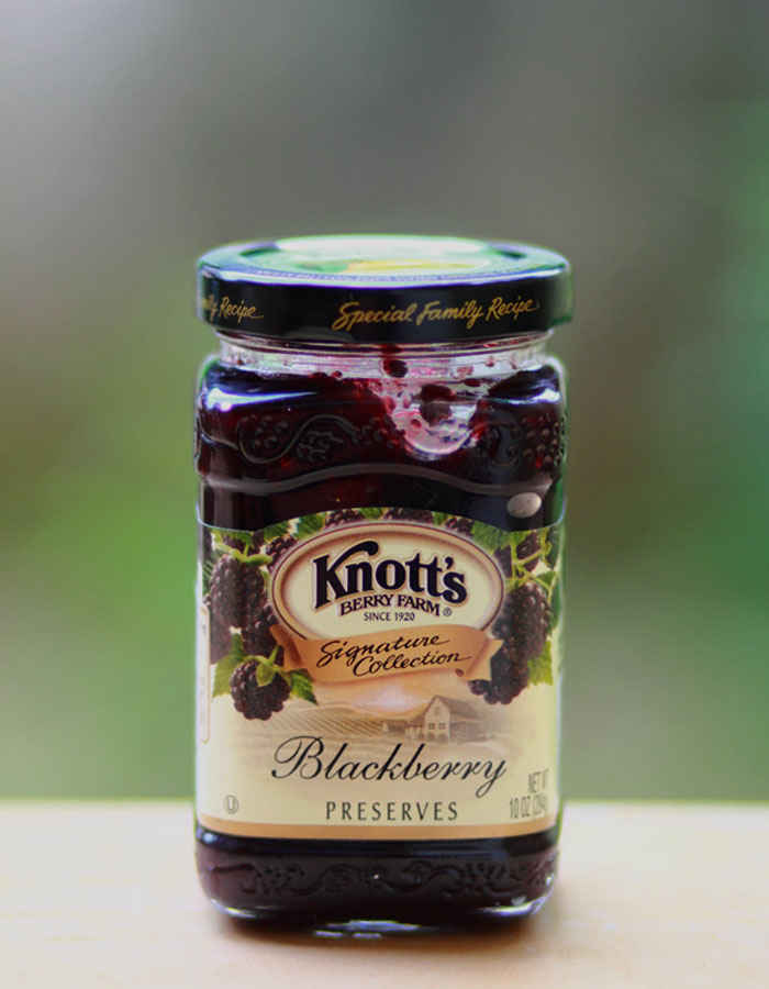 Blackberry Yogurt endyDaniel