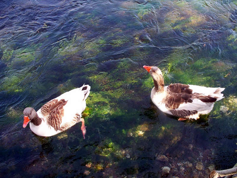 elyapımı.: Nisan 2011