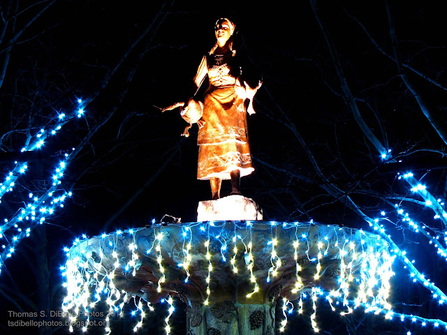 Portraits of Covington: A Covington Christmas, 2012!