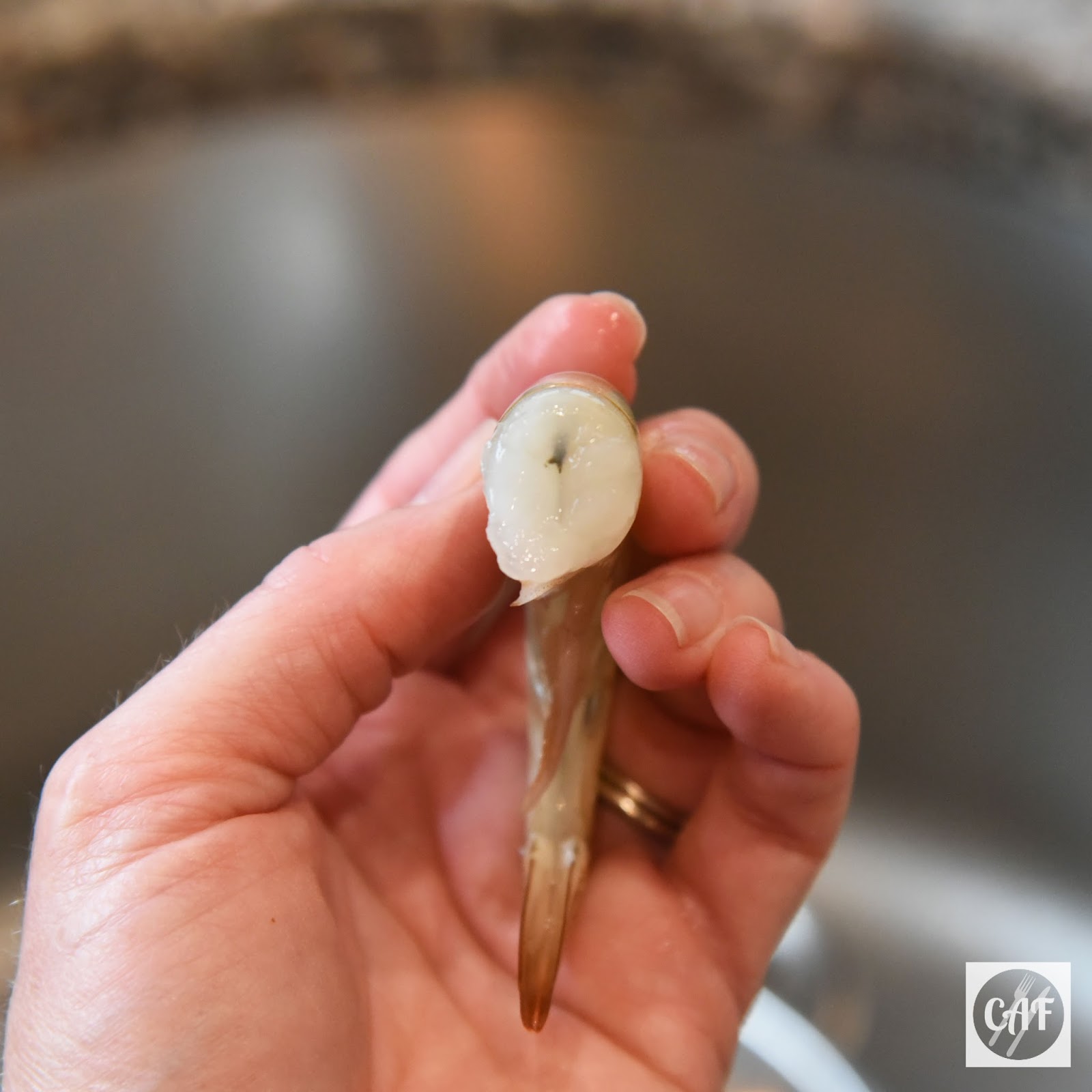 Creating a Foodie an honesttogoodness kitchen experience Learning