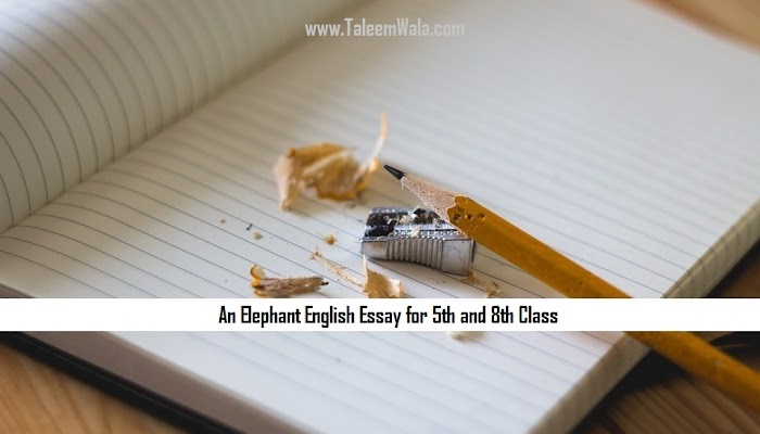 Elephant essay in english 10 lines picture