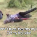 Hamas terrorists pretend to be "shot dead" by Israel - Media keeps falling for for it
