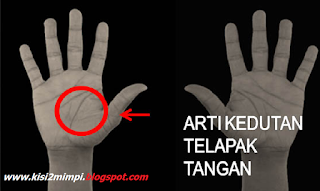 14+ Arti Mimpi Kelabang Keluar Dari Telapak Tangan