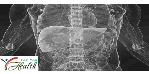 Understanding Liver Cancer Liver Cancer
