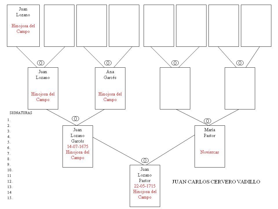 HINOJOSA DEL CAMPO APELLIDO LOZANO