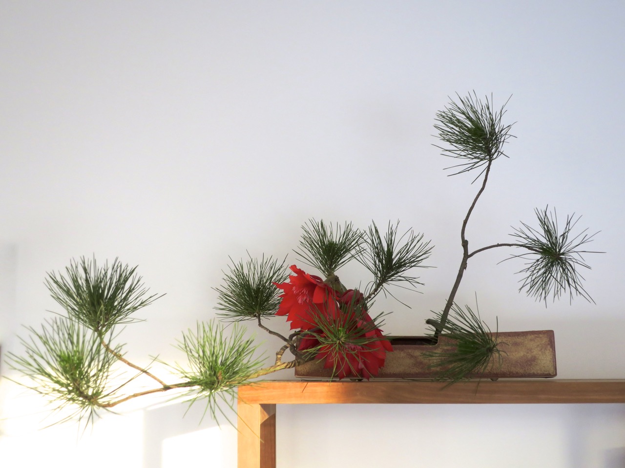 ROADSIDE IKEBANA MORE IKEBANA AT HOME