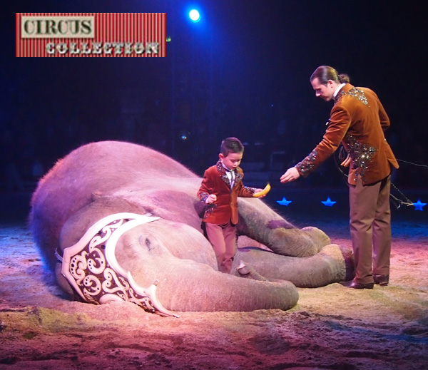 un éléphant avec Chris Rui Knie