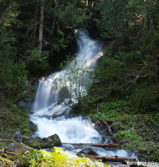 Hoh Lake Trail Hoh Falls