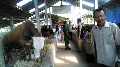 DESA PURWOREJO TERIMA TIM EVALUASI PERKEMBANGAN DESA