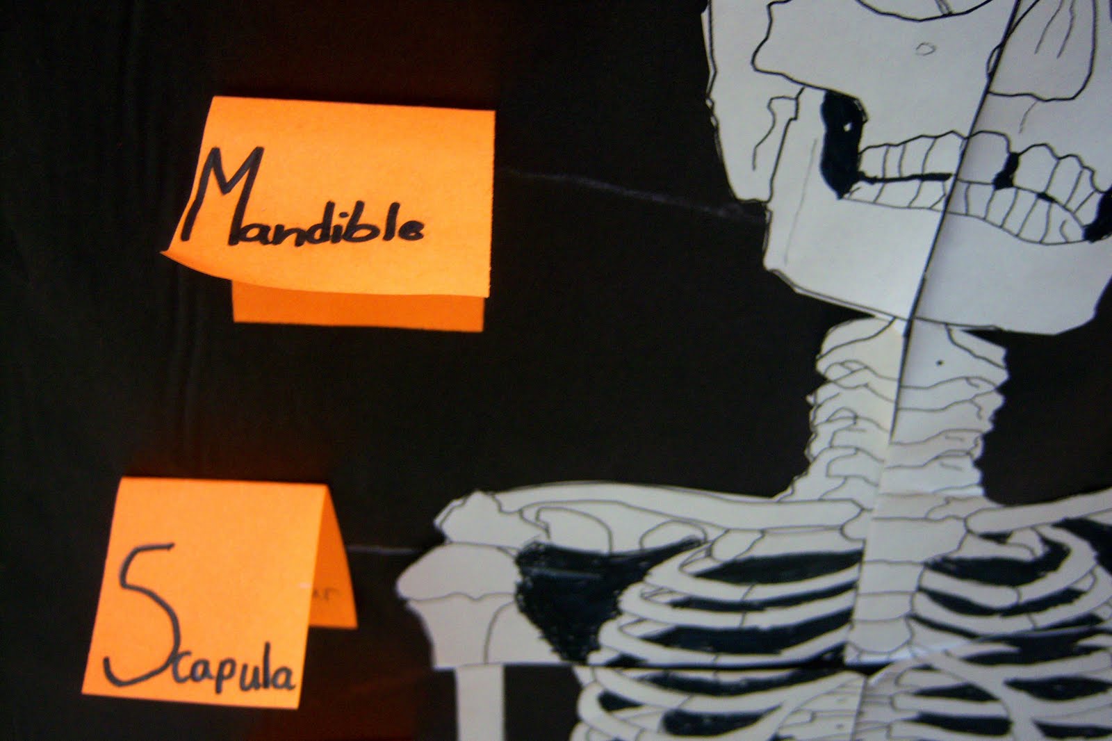 The Inspired Classroom: November 2011
