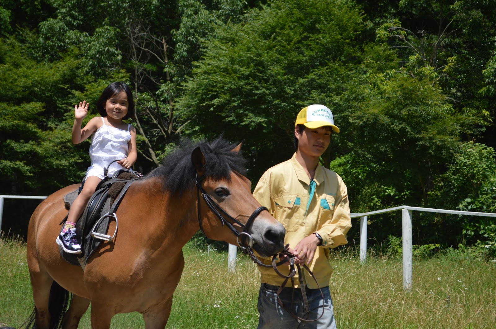 Brigitte's Life Feeding a Baby Cow! 子牛さんにミルクやり！