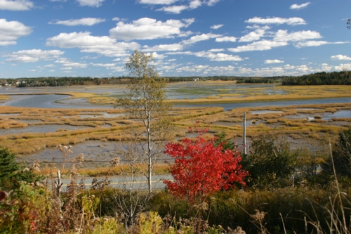 East Chezzetcook, N.S. East Chezzetcook, N.S.