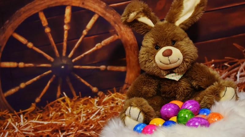 Easter Bunny is Here