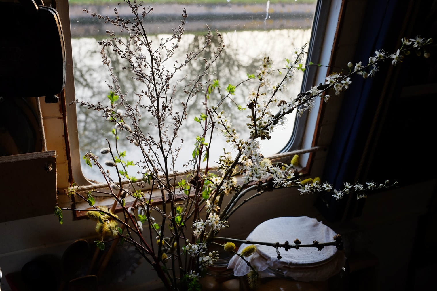 Hedgerow floristry - Prunus spinosa, Cornus sanguinea, Artemisia vulgaris seedhead, Salix caprea catkins and first leaves of hawthorn Crataegus monogyna