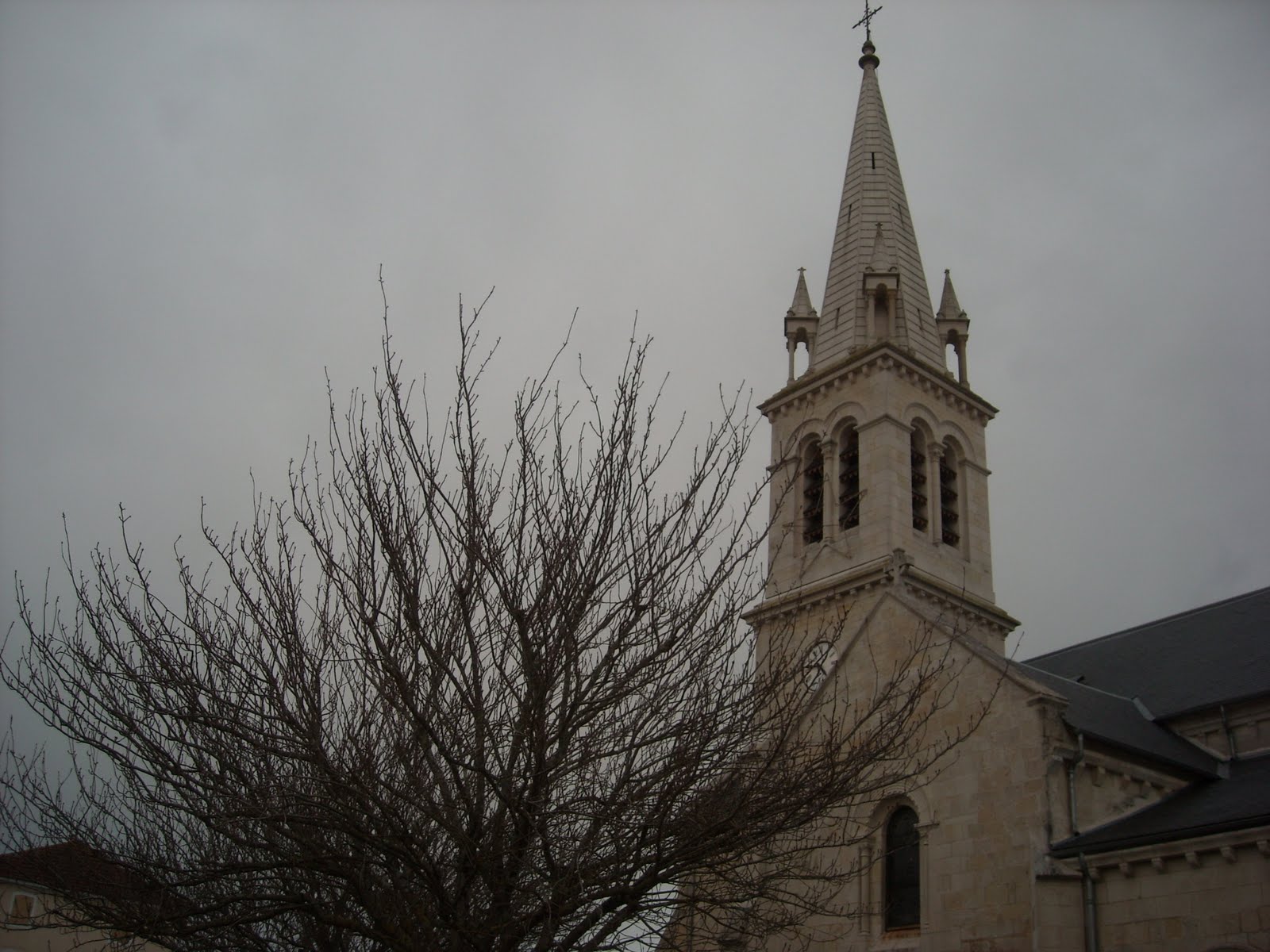 Les Mille Pattes De Saintonge Aigrefeuille D Aunis En Charente Maritime