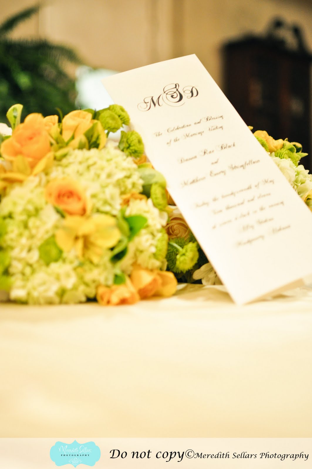 Meredith Sellars Photography: Matt & Danna Stringfellow