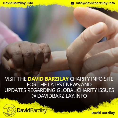 david barzilay casino software