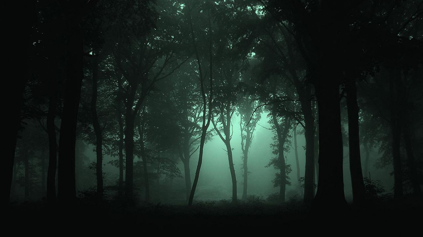 Forest Wallpapers Forest Wallpapers
