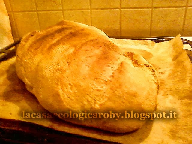 Autoproduzione di pane