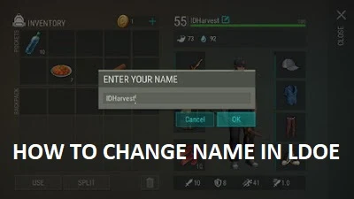 How to Change Name in Last Day on Earth: Survival