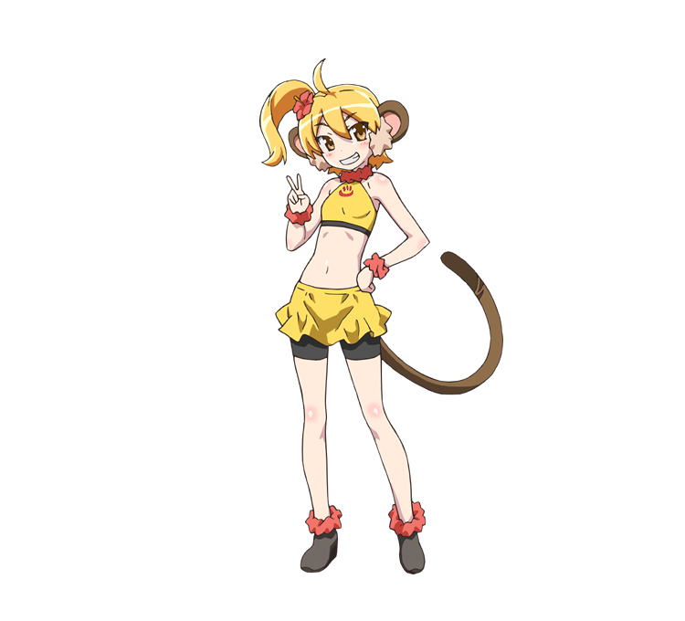 Shima chino coupons