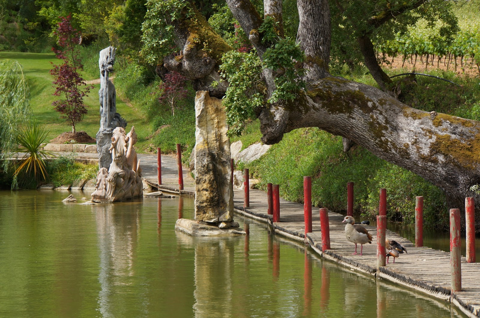 Buddha Eden - Quinta dos Loridos - Carvalhal - Portugal