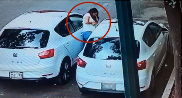 Una mujer en la CdMx busca un vehículo igual al suyo y se roba uno de sus espejos (VIDEO) Una mujer en la CdMx busca un vehículo igual al suyo y se roba uno de sus espejos (VIDEO)