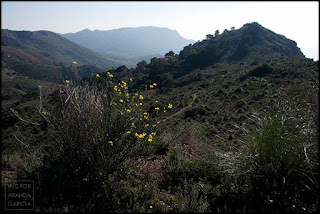 Ruta del 33