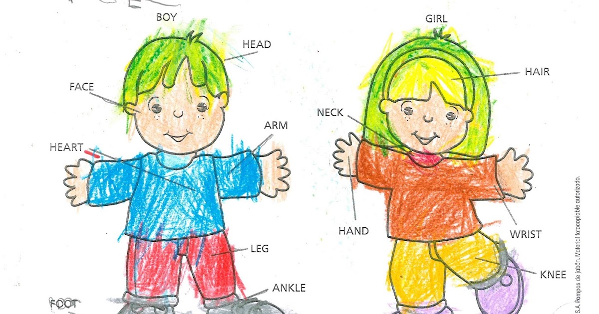 El cuaderno del maestro Body