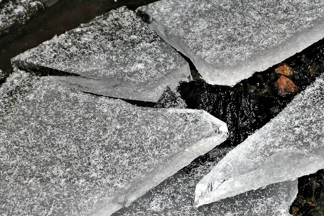 Lens and Cover | First Ice