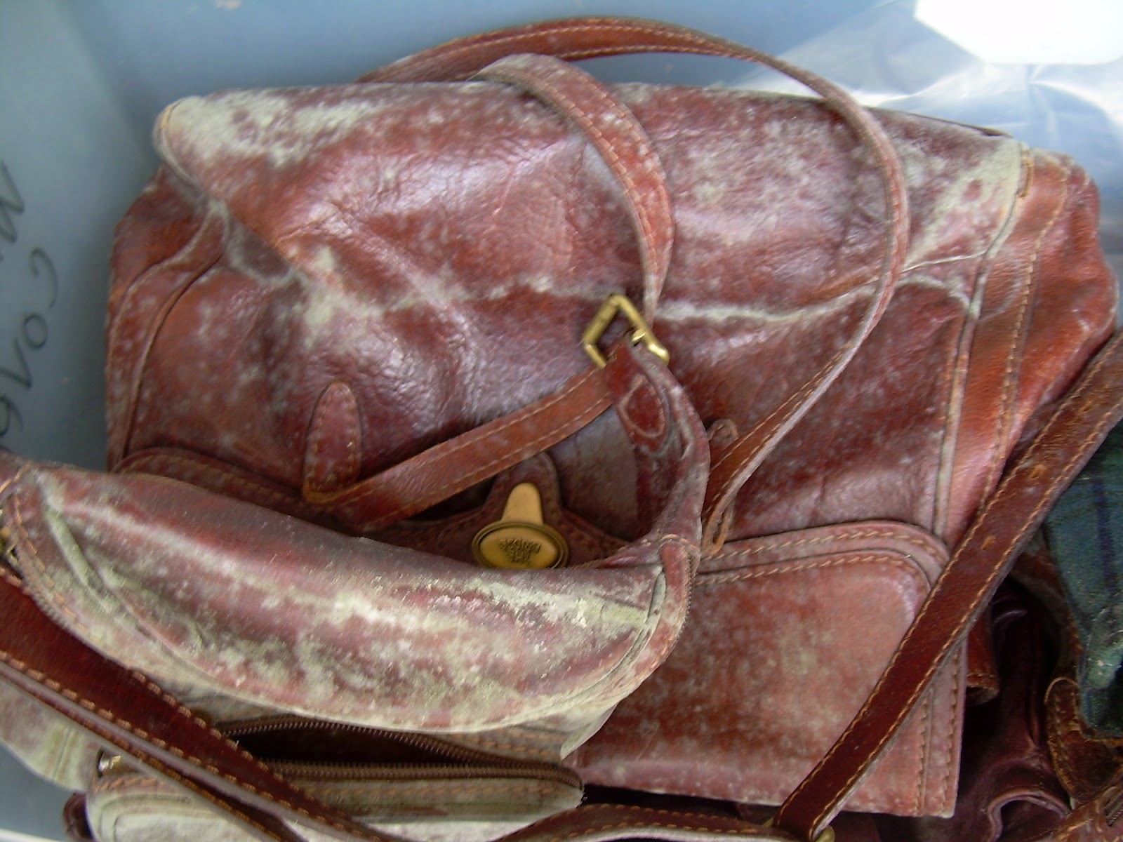 blowing off steam Moldy Leather