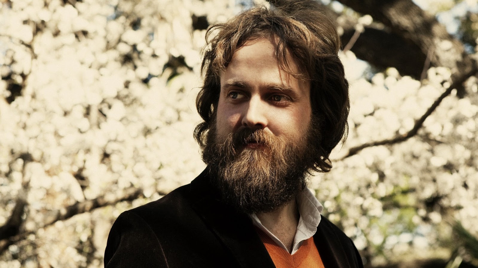 Teimosias, epifanias e ansiedades! Sem (pre)conceito! iron & wine and